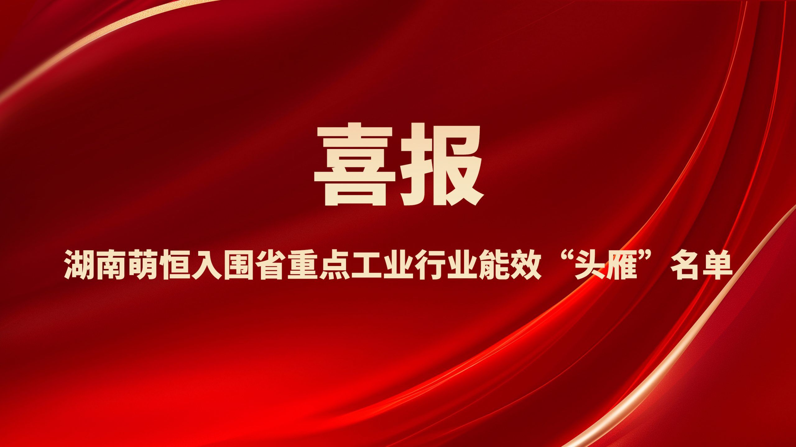 喜報！湖南萌恒入圍省重點工業行業能效“頭雁”名單